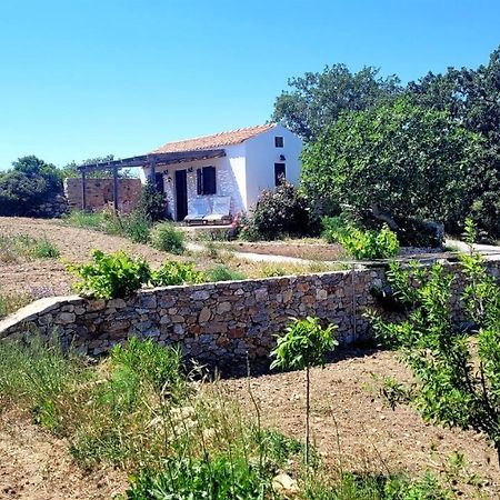 Вилла The Pigeon House Potamos  Экстерьер фото