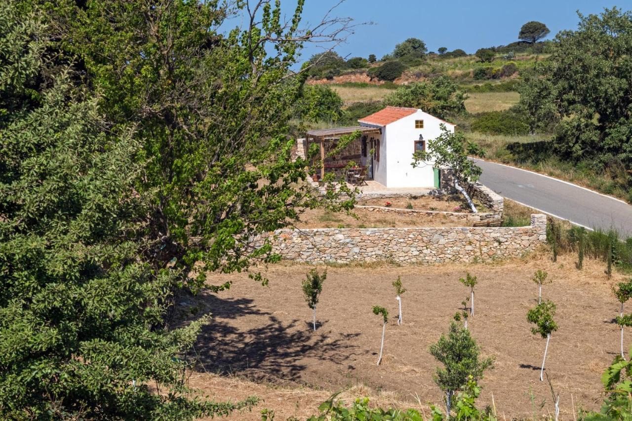 Вилла The Pigeon House Potamos  Экстерьер фото