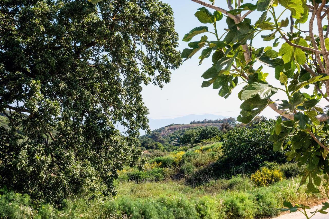 Вилла The Pigeon House Potamos  Экстерьер фото